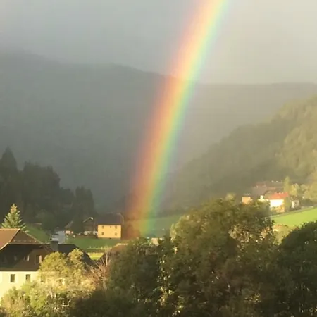 Appartement For Your Ramingstein